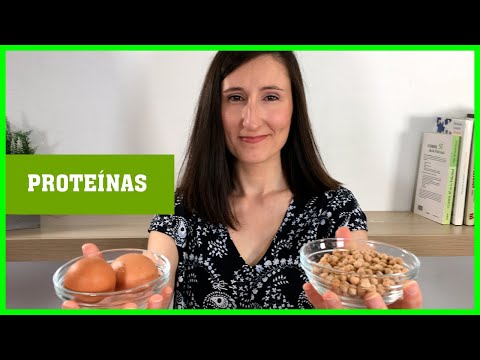 La tabla de proteínas y sus funciones es fundamental en nutrición.