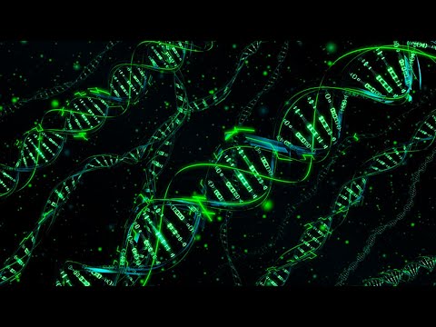 La Importancia del Dogma Central de la Biología: Un Análisis