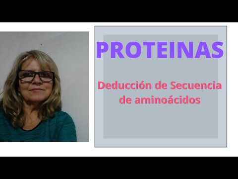 Secuencia de aminoácidos: clave en la estructura de las proteínas