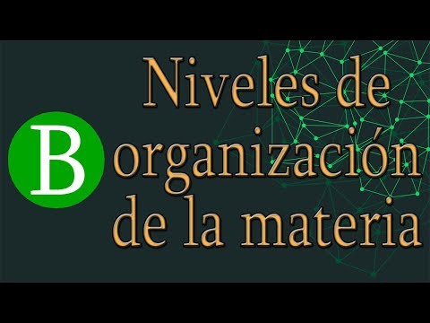 Características de los niveles de organización de la materia: un análisis.