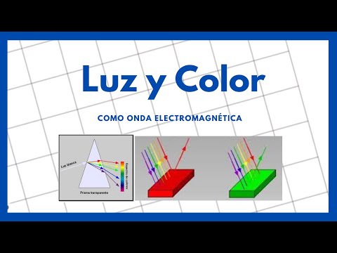 Cómo absorber la luz solar: los elementos clave para lograrlo