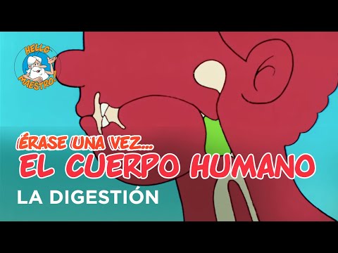 Descubre los increíbles aparatos del cuerpo humano digestivo