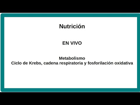 Ciclo de Krebs y cadena respiratoria en un GIF