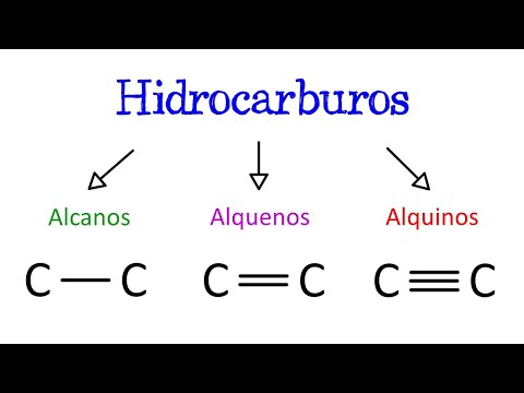 Características químicas de los alcanos: un análisis detallado.