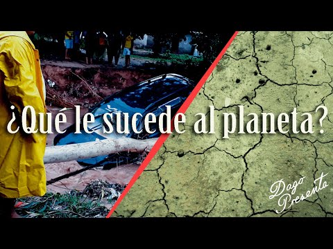 Alteración del ciclo del agua por la deforestación: un problema ambiental.