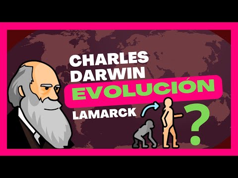 Las evidencias empleadas por Darwin para postular su teoría.