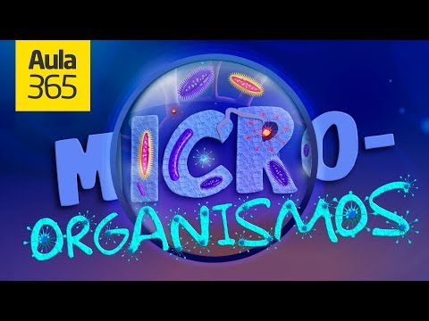 ¿Cuál es la importancia de los microorganismos en nuestra vida?