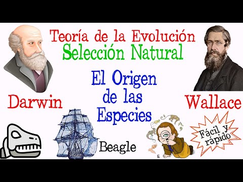 Teoría de Darwin-Wallace: selección natural y evolución de las especies.
