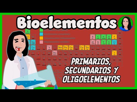 Descubre los principales bioelementos que conforman a los seres vivos