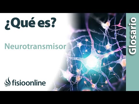 ¿Cuál es la importancia de los neurotransmisores en nuestro cuerpo?