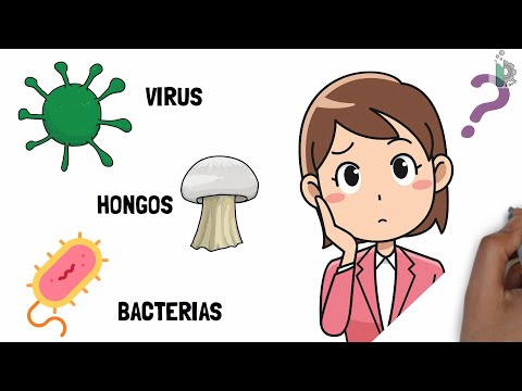 Dónde se encuentran los hongos y las bacterias en nuestro entorno