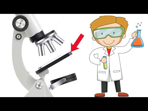 Cómo funciona un microscopio compuesto y su utilidad en la ciencia