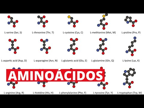 Estructura de los aminoácidos esenciales y no esenciales: una visión general