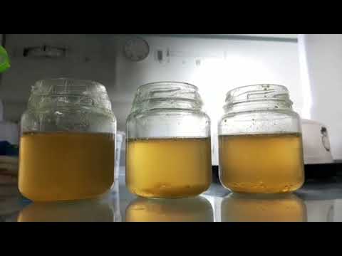 Experimento: Caldo de cultivo y sus resultados sorprendentes.