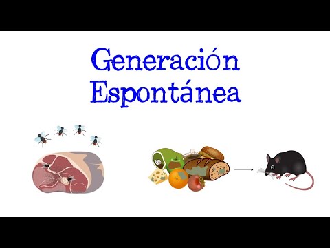 La Teoría de la Generación Espontánea de Francesco Redi