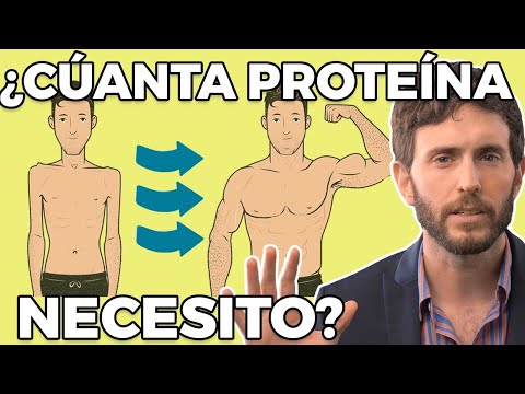 Modifica y distribuye a las proteínas: clave para el rendimiento muscular