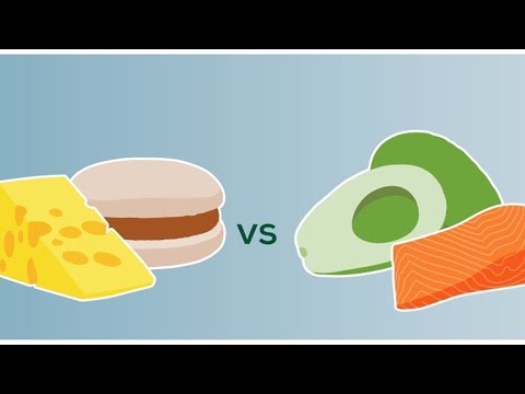 Diferencias entre la estructura de grasa y aceite: ¿Cuál es?