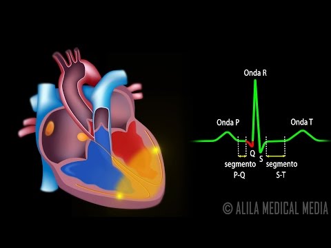 Repolarización y despolarización: el latido del corazón en acción