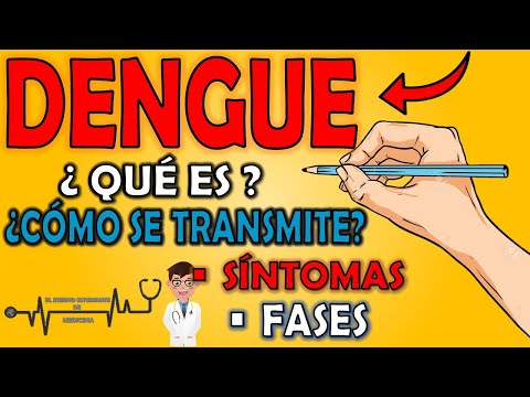 El Zika: Contagio de persona a persona y sus implicaciones