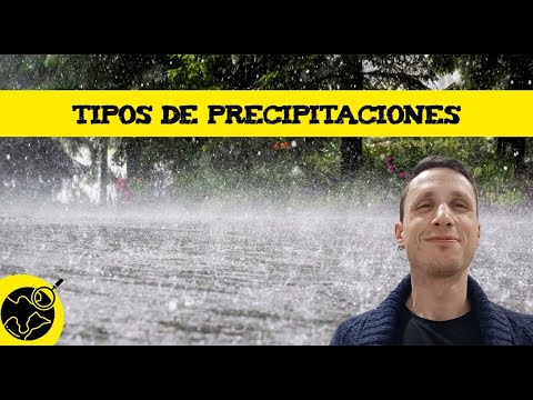 Cuáles son las regiones con mayor precipitación: una comparativa.