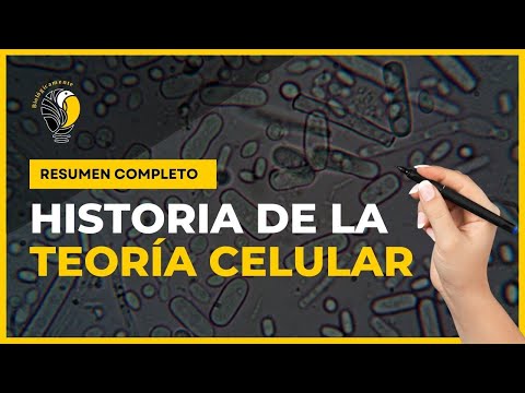 Historia de la célula: línea del tiempo, descubre su evolución.