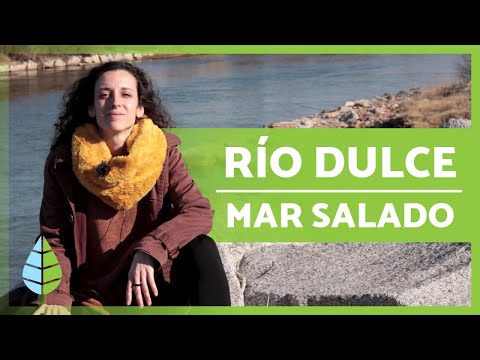 Depósitos naturales: se alimentan de agua dulce y salada.