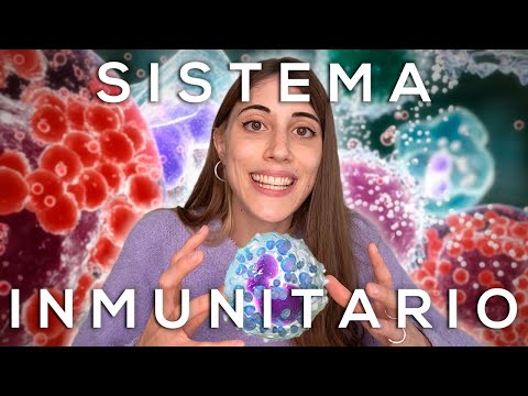 Órganos que forman parte del sistema inmunológico: una visión general.