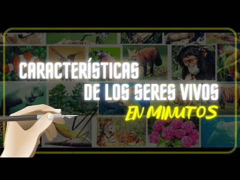 Características esenciales de los sistemas vivos, un análisis profundo.