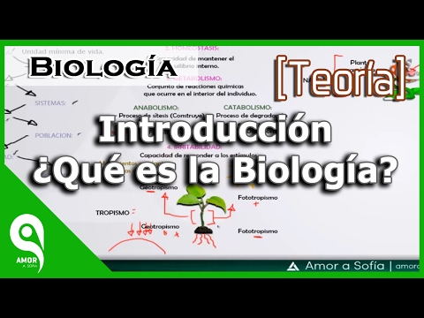 Introducción de laboratorio de biología: una experiencia enriquecedora y educativa