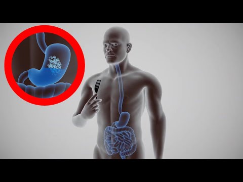 ¿Cuál es la función del estómago en el sistema digestivo?