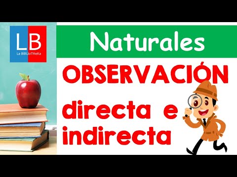 Ejercicios de observación directa e indirecta: mejora tus habilidades.