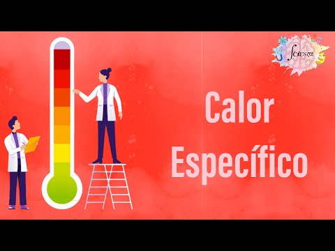 El calor específico de las sustancias: una propiedad fundamental.