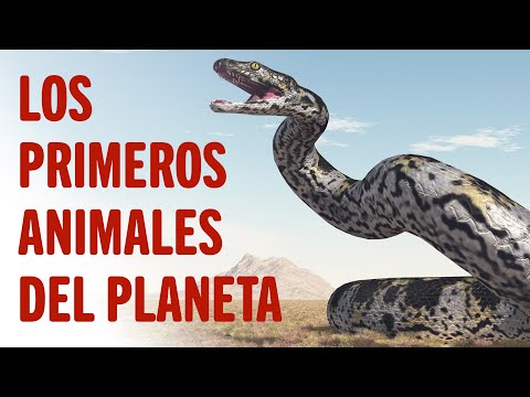 Descubre los primeros animales que habitaron la tierra