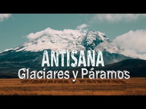 Importancia de los glaciares en el ecosistema: ¿por qué son relevantes?