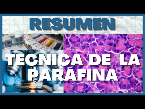 Preparación de muestras para microscopio óptico: técnicas y recomendaciones