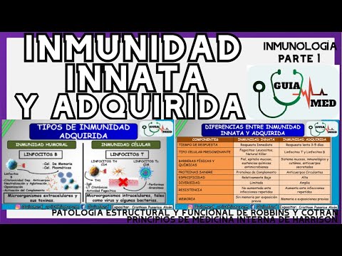 Características de la inmunidad adquirida: Un análisis profundo de sus atributos.