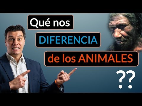 Diferencias entre el ser humano y los demás seres vivos