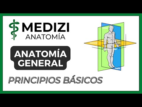 Principios de anatomía y fisiología: una visión introductoria y esencial