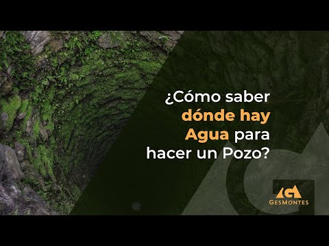 Dónde encontrar el agua dulce: sitios ideales para su hallazgo