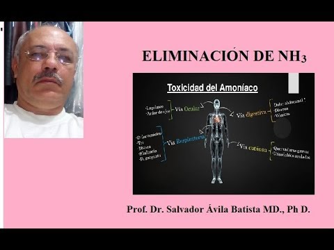 Efectos del amonio en el cuerpo humano: una mirada profunda