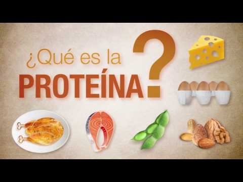 De dónde se obtienen las proteínas