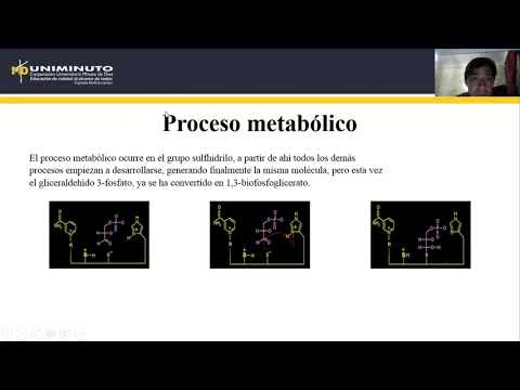 De dihidroxiacetona fosfato a gliceraldehido 3-fosfato: una transformación crucial.