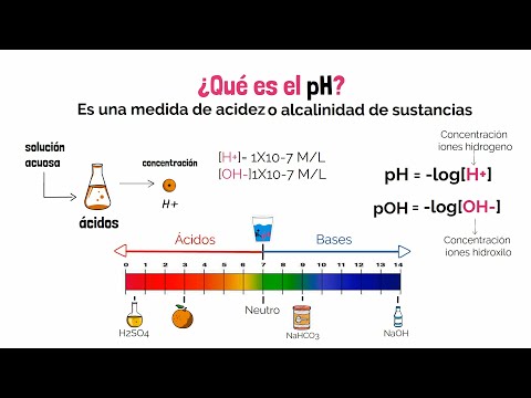 Diferenciación de las sustancias según su pH: clave para entender