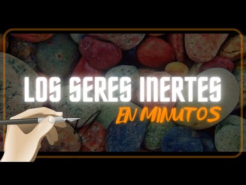 Características de la Materia Inerte: Un Análisis Completo.