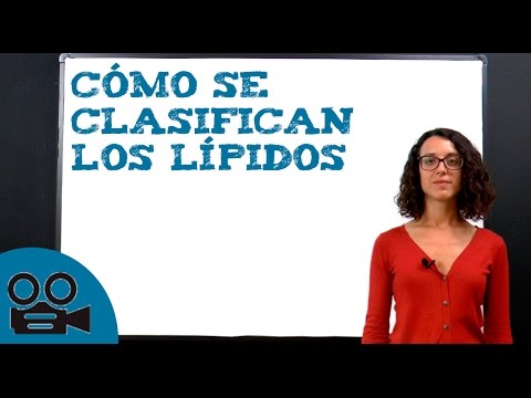 ¿Con qué otro nombre se le conoce a los lípidos?