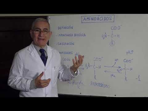 Estructura química de los aminoácidos: un análisis detallado en 10 palabras.