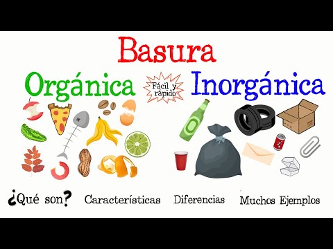 Reciclan materia orgánica: un proceso esencial en los ecosistemas