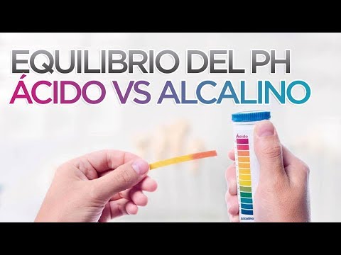 El pH del estómago: ¿Ácido o alcalino?