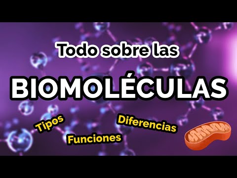 Las biomoléculas: guardianes de la información genética de las especies