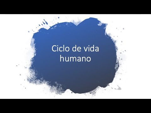 El ciclo biológico de los seres humanos: un análisis profundo.